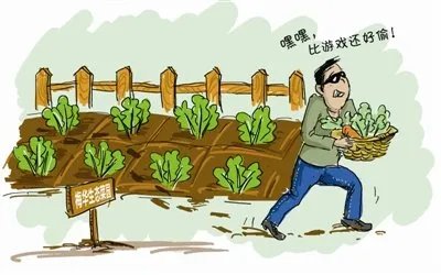 博士1个月6次偷菜被抓，还有“前科”，他为何屡教不改？