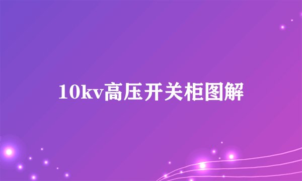 10kv高压开关柜图解