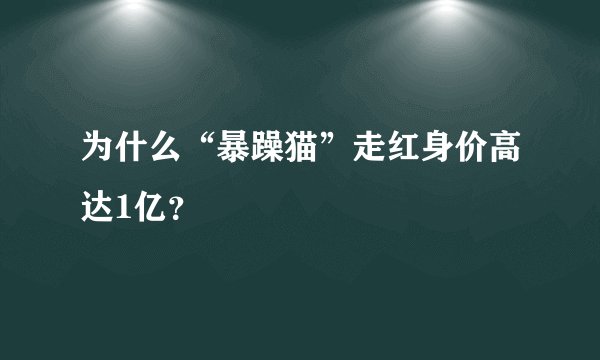 为什么“暴躁猫”走红身价高达1亿？