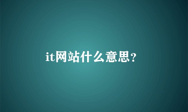 it网站什么意思?