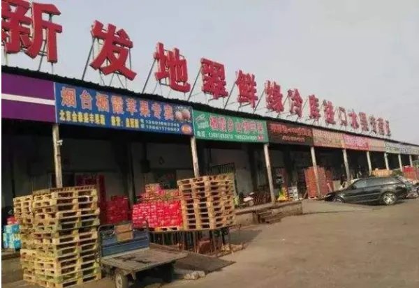 新发地蔬菜价格表今日蔬菜