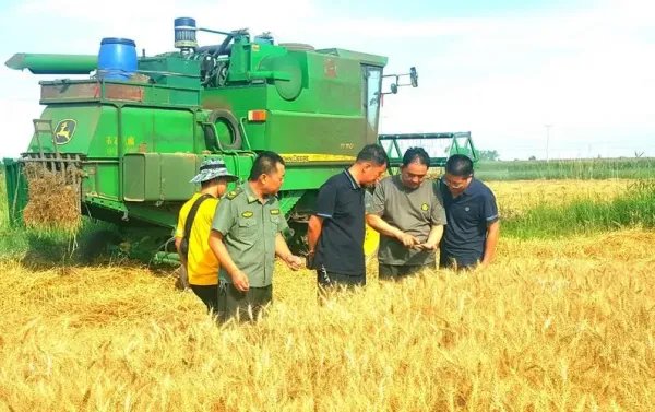 三夏生产工作人员怎么选择