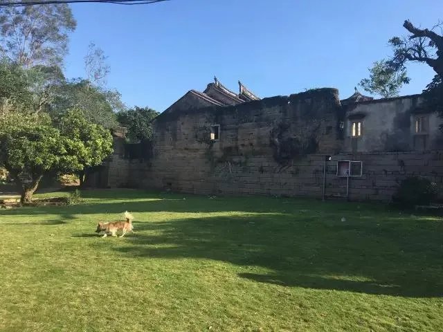 能介绍一下漳州赵家堡吗？