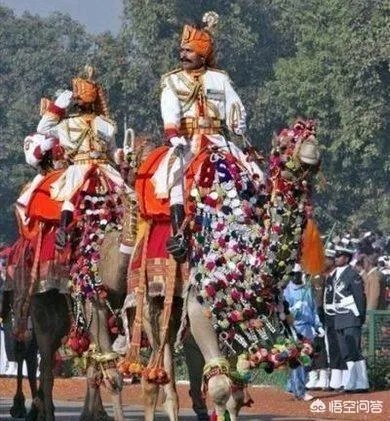 美国军队中有没有阅兵式？