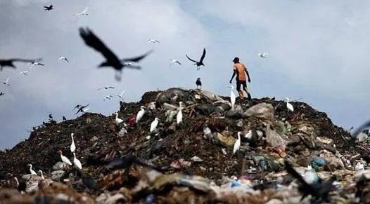 世界“第八大陆”究竟是什么呢?怎么形成的?