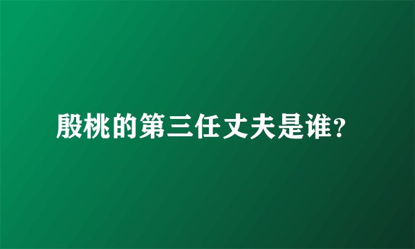 殷桃的第三任丈夫是谁？