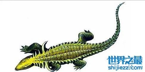 世界上最大的有角鳄，你绝对想不到这种角鳄到底有多大！ 