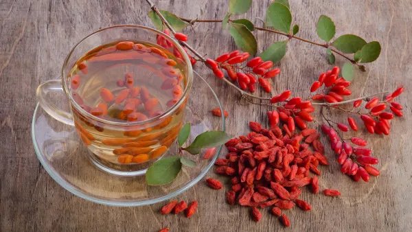 枸杞茶的功效
