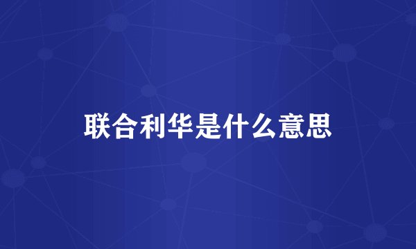 联合利华是什么意思