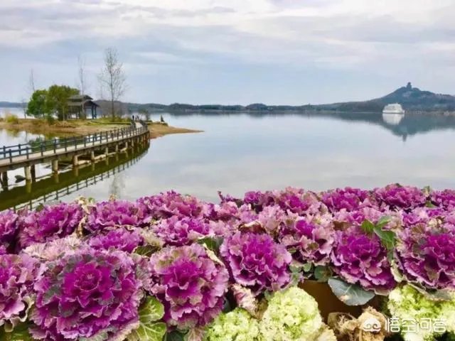 你在池州多久了，觉得生活幸福吗？