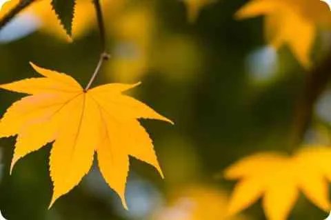 license.dat文件怎么找？？？