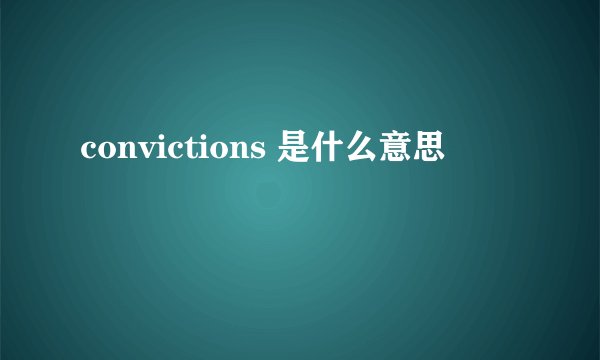 convictions 是什么意思