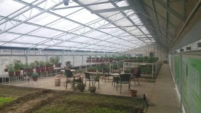 蔬菜大棚和蔬菜温室的区别是什么？