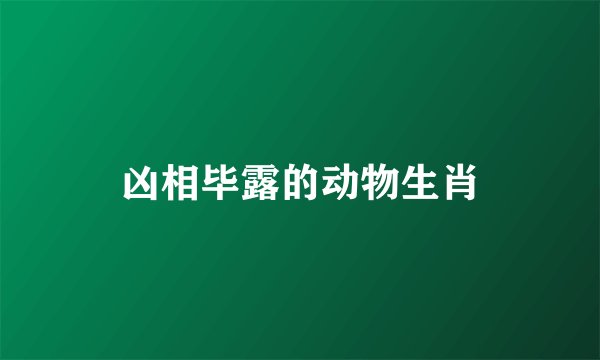 凶相毕露的动物生肖