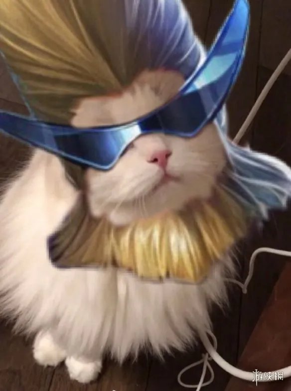 《王者荣耀》猫咪接头头像最新 猫咪头像大全
