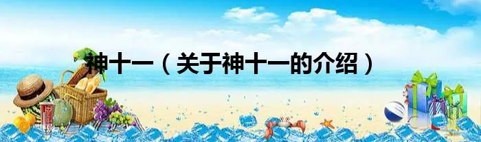 神十一（关于神十一的介绍）