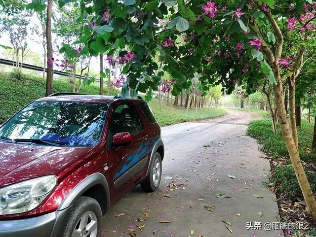 汽车摄影都有哪些技巧？