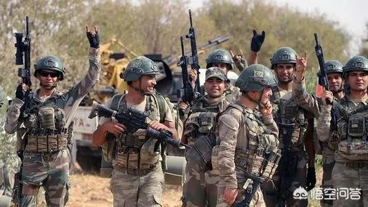 土耳其会在叙利亚采取大规模军事行动么？