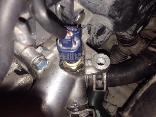 冷却系统的主要部件组成和作用