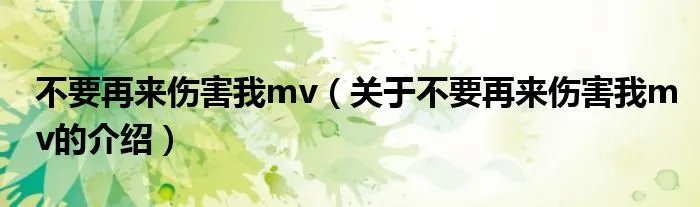 不要再来伤害我mv（关于不要再来伤害我mv的介绍）