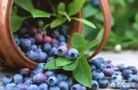 黑河市有哪些特产？