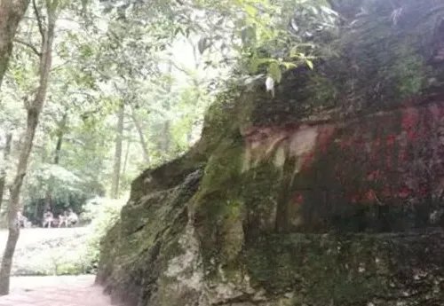 温州有什么好玩的地方？