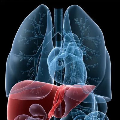 肝炎怎样治疗方法?