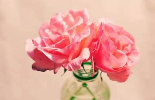 第一次约会内向聊什么 第一次约会去什么地方好