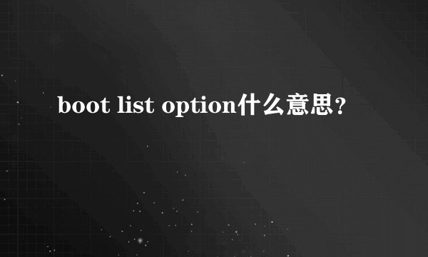 boot list option什么意思？