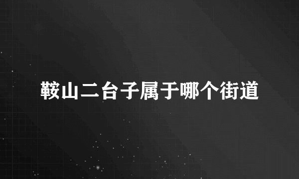鞍山二台子属于哪个街道