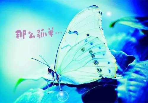 容欢傅斯衍霍楚小说 容欢傅斯衍霍楚免费阅读