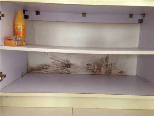 柜子发霉怎么处理