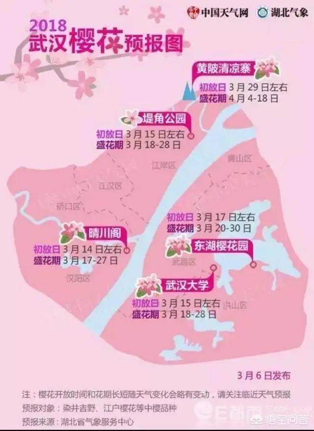 武汉大学樱花一般什么时候开?