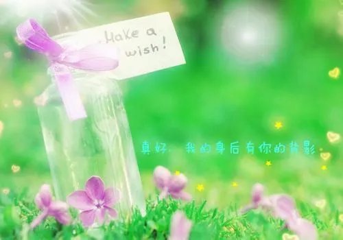 树叶贴画作品图片大全