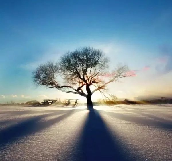 什么微信头像能带来好运?