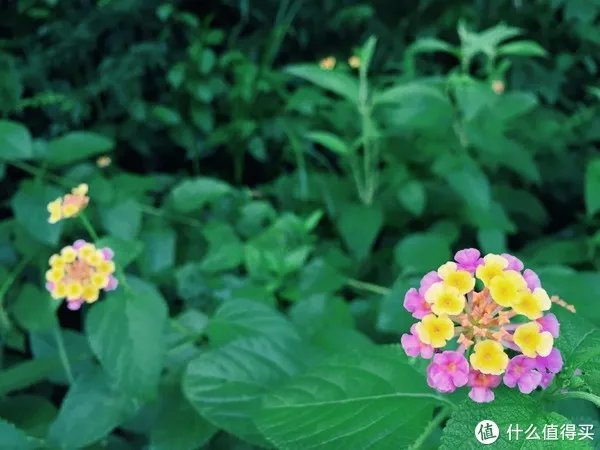 修飞机人周末好去处：高百丈风景区羊石水库