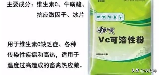 幼猪有什么作用