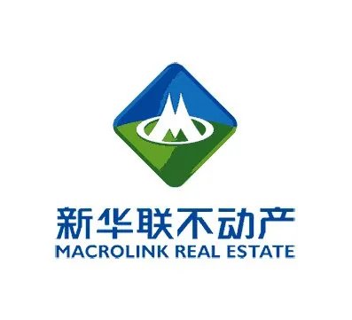 新华联集团的集团简介