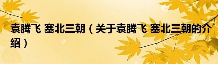 袁腾飞 塞北三朝（关于袁腾飞 塞北三朝的介绍）