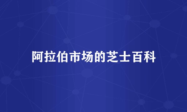 阿拉伯市场的芝士百科
