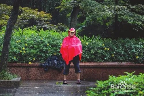 台风巴威登陆应该怎么防范