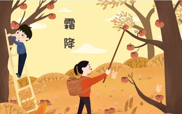 2020年霜降时间:2020霜降是几月几号