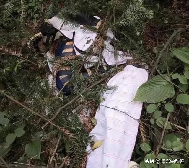 翼装飞行女大学生去世，有人表示敬佩有人说她自私，你怎么看？