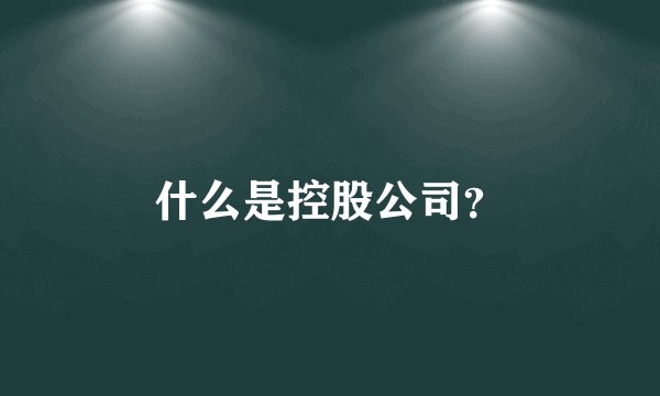 什么是控股公司？