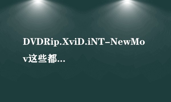 DVDRip.XviD.iNT-NewMov这些都是什么意思啊？