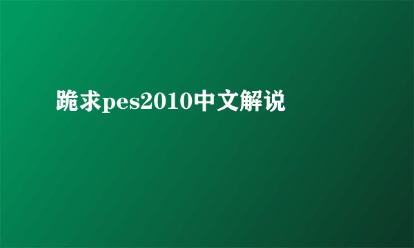 跪求pes2010中文解说