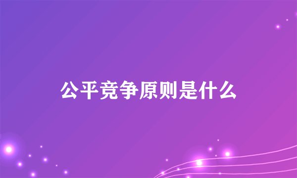 公平竞争原则是什么