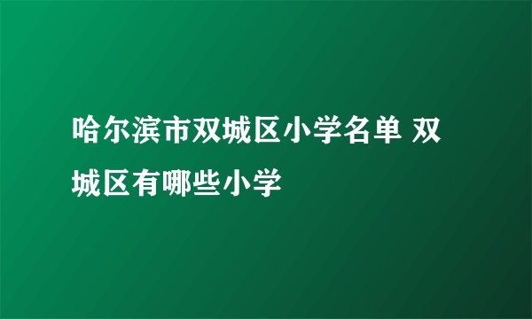 哈尔滨市双城区小学名单 双城区有哪些小学
