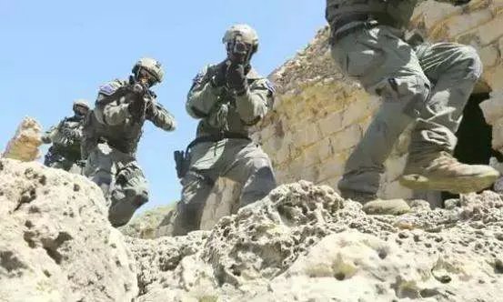 世界十大特种部队有哪些？