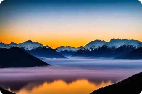 猜谜语：一只雀，飞上桌，捏尾巴，跳下河。 （打一生活物）谜底是什么？